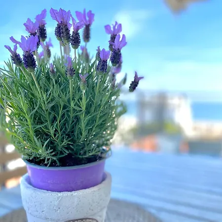 Il Mare In Stanza Lägenhet Riccione