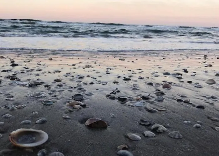 Il Mare In Stanza Appartement *