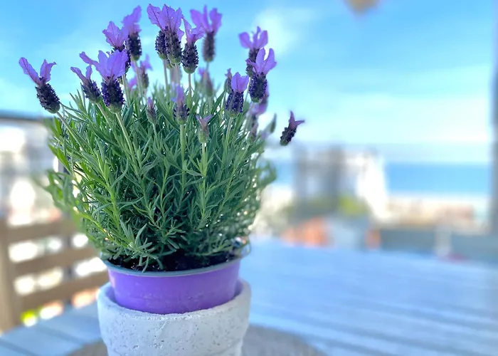 Il Mare In Stanza Lägenhet Riccione